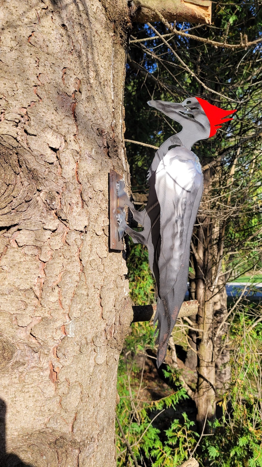Outdoor Woodpecker